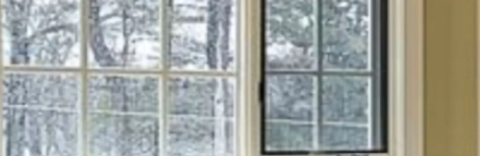Large divided-light window looking onto a wooded garden