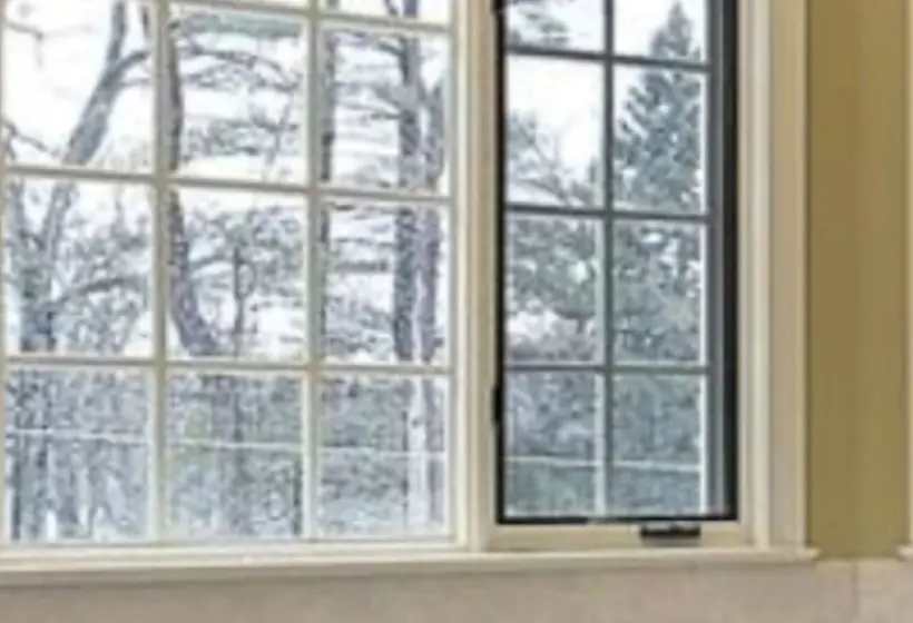 Large divided-light window looking onto a wooded garden